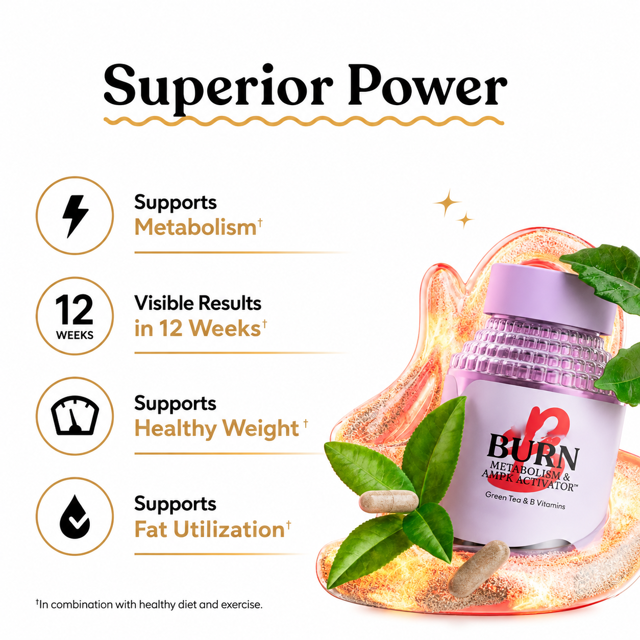 Burn Metabolic